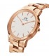 DANIEL WELLINGTON Iconic Link Rose Gold Stainless Steel Bracelet 28mm