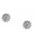 Earring whitegold with zircon